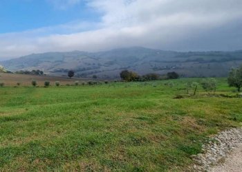 img-20221209-wa0011 - Building land Polverigi - photo 2