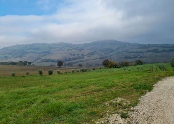 img-20221209-wa0013 - Building land Polverigi - photo 3