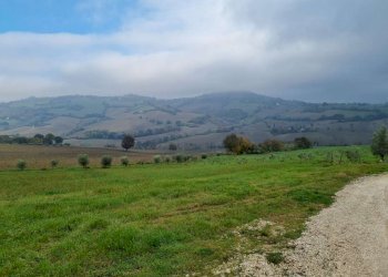 img-20221209-wa0017 - Building land Polverigi - photo 4