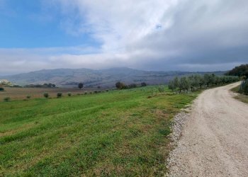 img-20221209-wa0019 - Building land Polverigi - photo 5