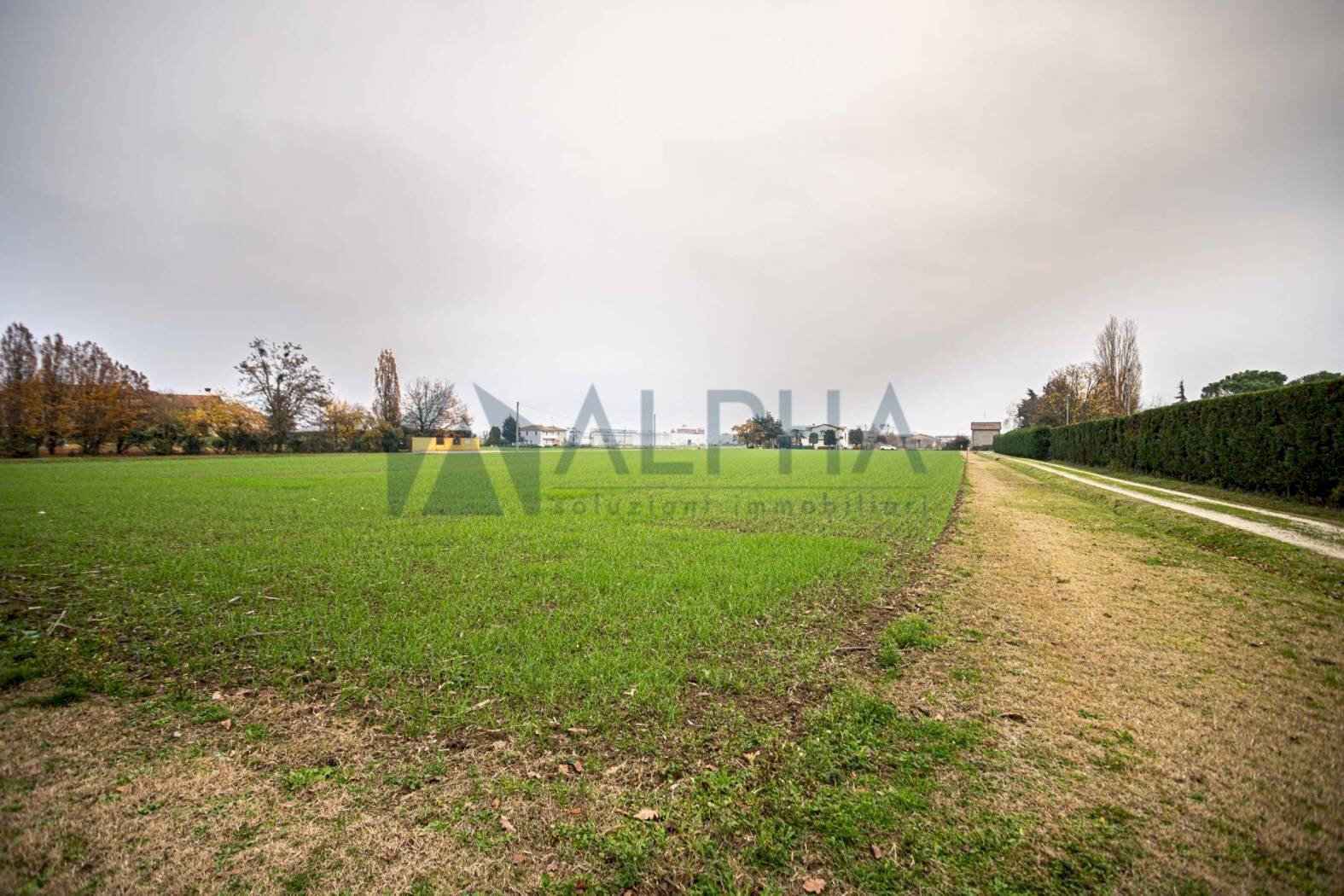 vista - Agricultural land via Zampeschi, Forlì - photo 1