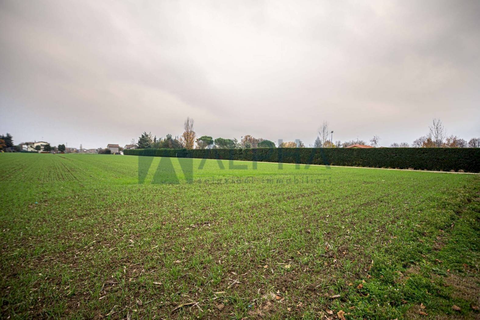 vista - Agricultural land via Zampeschi, Forlì - photo 3