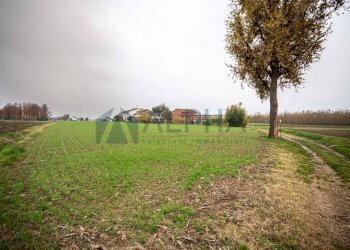 vista - Agricultural land via Zampeschi, Forlì - photo 7