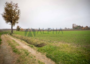 vista - Agricultural land via Zampeschi, Forlì - photo 10