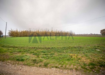 vista - Agricultural land via Zampeschi, Forlì - photo 12