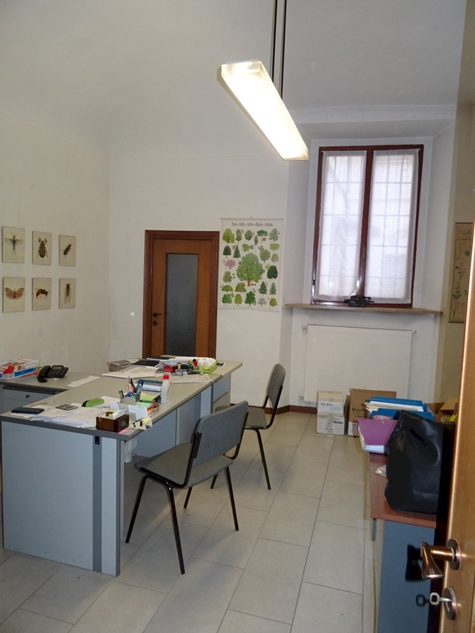 Office Piacenza - photo 3