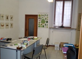Ufficio Piacenza - foto 3