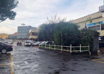 1000075293 - Ufficio via pietro l'eremita, Roma - foto 15