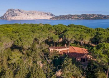 Villa Unifamiliare Capo Coda Cavallo, Le Farfalle, San Teodoro - foto 1