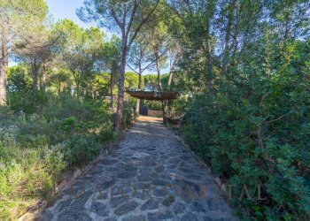 Villa Unifamiliare Capo Coda Cavallo, Le Farfalle, San Teodoro - foto 27