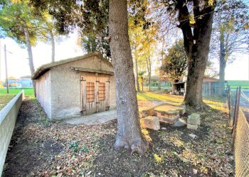 Villa Bifamiliare Cervia - foto 4