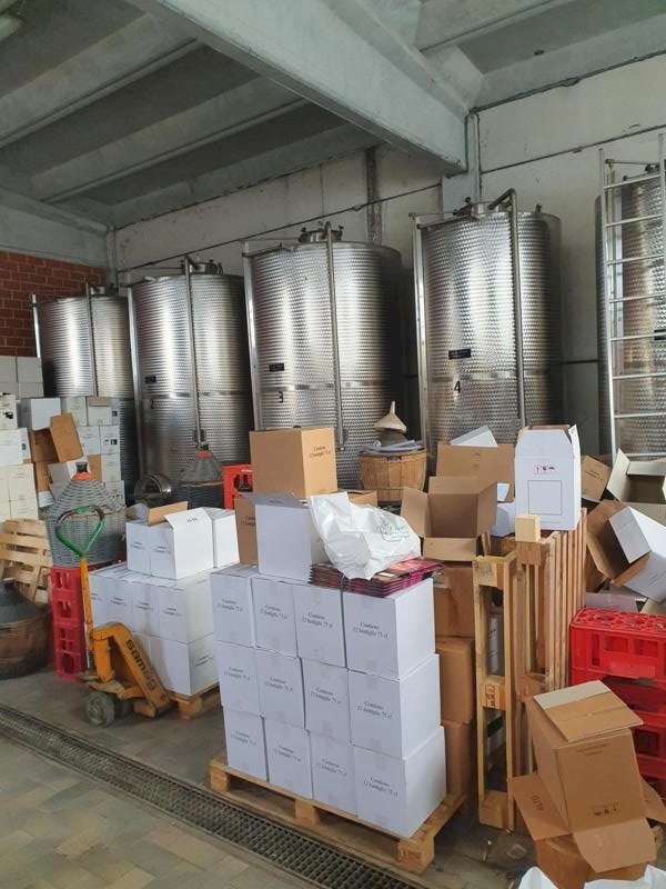 Vigneto Nizza Monferrato - foto 1