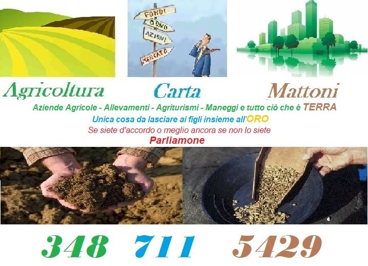 Vigneto Nizza Monferrato - foto 2