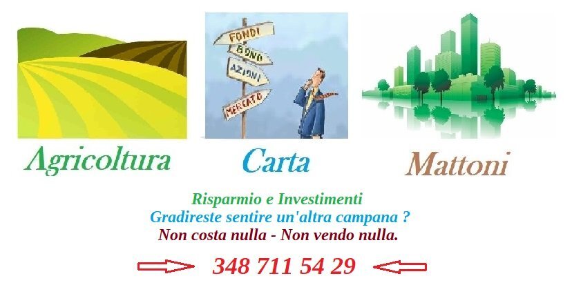 Vigneto Nizza Monferrato - foto 3