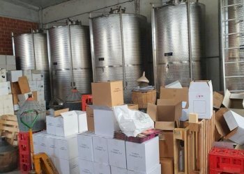 Vigneto Nizza Monferrato - foto 1