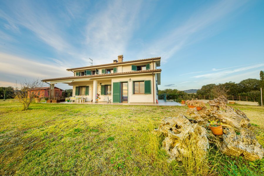 Uliveto Grosseto - foto 2