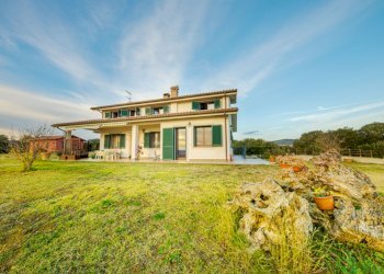 Agricultural land Grosseto - photo 2