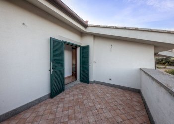 Agricultural land Grosseto - photo 4