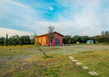 Agricultural land Grosseto - photo 5