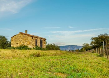 Agricultural land Grosseto - photo 6