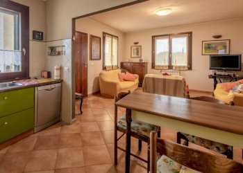 Agricultural land Grosseto - photo 7