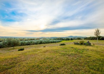 Agricultural land Grosseto - photo 16