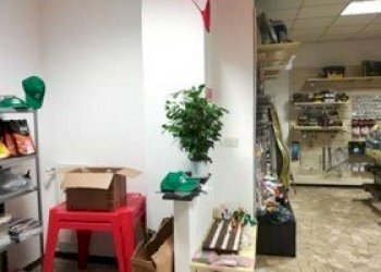 3.jpg - Locale Commerciale all'asta Via Isorelle 40, Savignone - foto 3