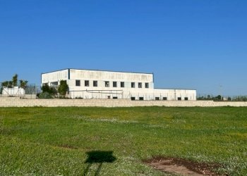 IMG_5957.jpg - Capannone Via Sorda Sampieri 268, Modica - foto 2