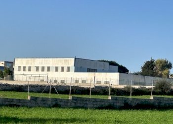 IMG_5953.jpg - Capannone Via Sorda Sampieri 268, Modica - foto 4