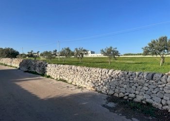 IMG_5949.jpg - Capannone Via Sorda Sampieri 268, Modica - foto 5