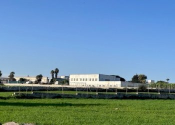 IMG_5952.jpg - Capannone Via Sorda Sampieri 268, Modica - foto 6