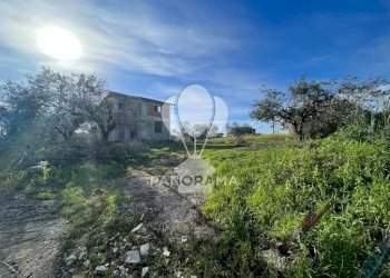 Villa Balestrate - foto 14