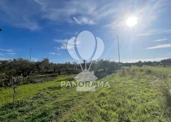 Villa Balestrate - foto 15