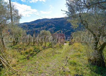 Roviasca Logo-08.jpg - Rustico Quiliano - foto 25