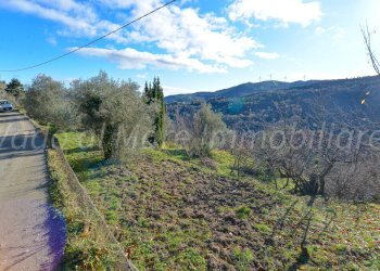 Roviasca Logo-04.jpg - Rustico Quiliano - foto 26