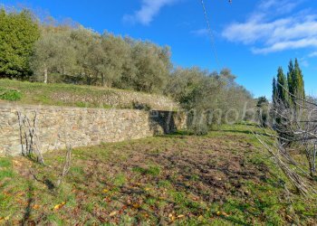 Roviasca Logo-06.jpg - Rustico Quiliano - foto 27