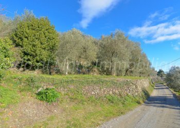 Roviasca Logo-05.jpg - Rustico Quiliano - foto 29