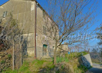 Rustico Logo -12.jpg - Rustico Quiliano - foto 18