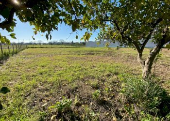 Independent house Capua - photo 5