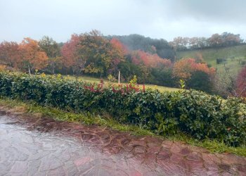 Casa indipendente Roccastrada - foto 8