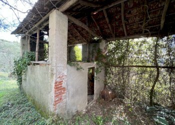 IMG_9075.JPG - Rustico Fosdinovo - foto 5