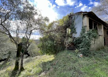 IMG_9079.JPG - Rustico Fosdinovo - foto 10