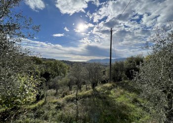 IMG_9085.JPG - Rustico Fosdinovo - foto 15