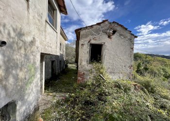IMG_9074.JPG - Rustico Fosdinovo - foto 18
