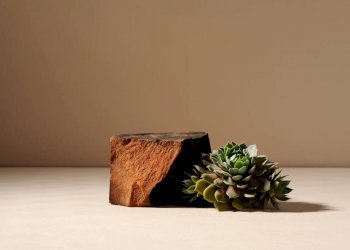 stock-photo-succulent-plant-placed-podium-burned.j - Porzione di casa via Confine di San Giorgio  510, Cesena - foto 15