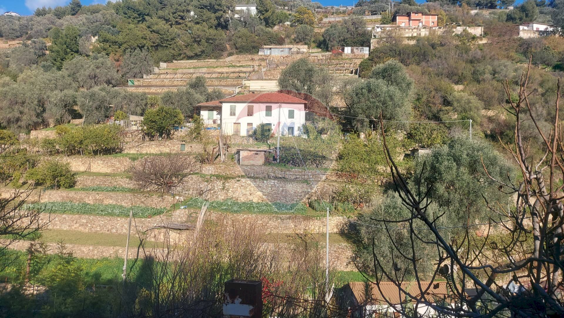 Semi-detached house Via Peiranze, 446 
 Sanremo, Sanremo - photo 1