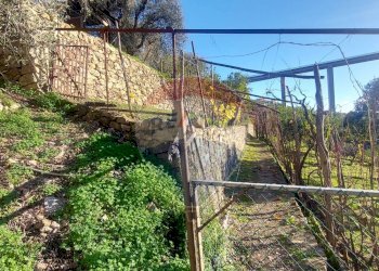 Semi-detached house Via Peiranze, 446
Sanremo, Sanremo - photo 27