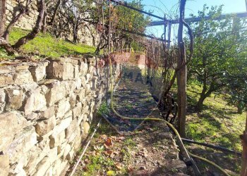 Semi-detached house Via Peiranze, 446
Sanremo, Sanremo - photo 28