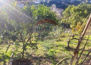 Semi-detached house Via Peiranze, 446
Sanremo, Sanremo - photo 29