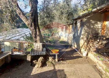 Semi-detached house Via Peiranze, 446
Sanremo, Sanremo - photo 33